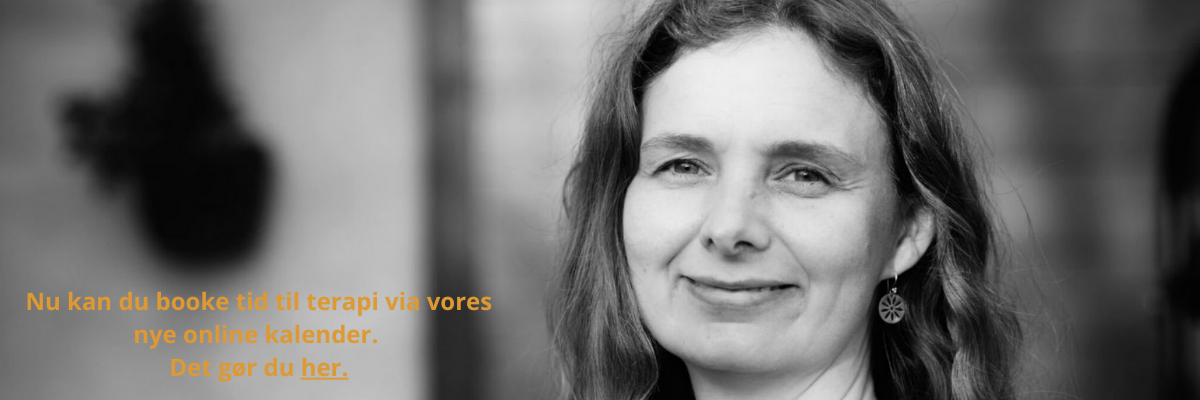 Terapi med Helene Lysekilde book online